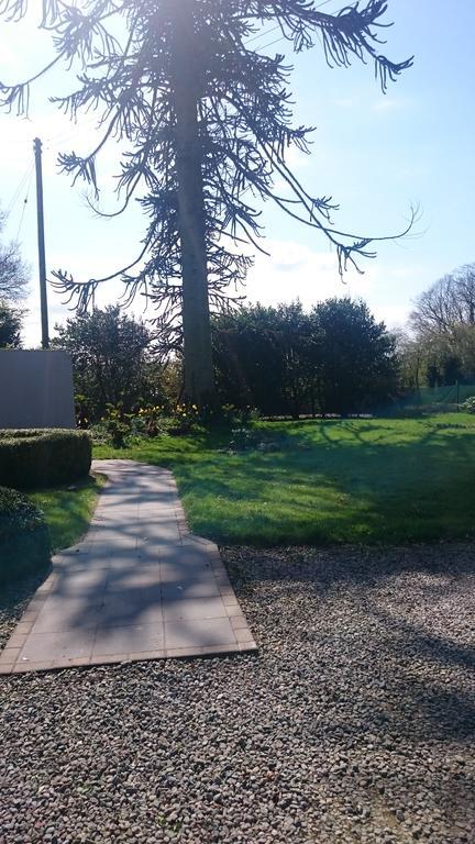 Marlagh Lodge Ballymena Exteriör bild